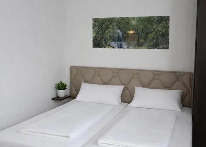 바이엘 보딩하우스 운트 4*